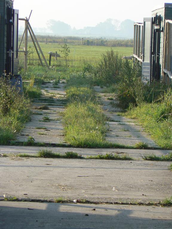 Groningen Buiten B&B Zuidhorn Zewnętrze zdjęcie