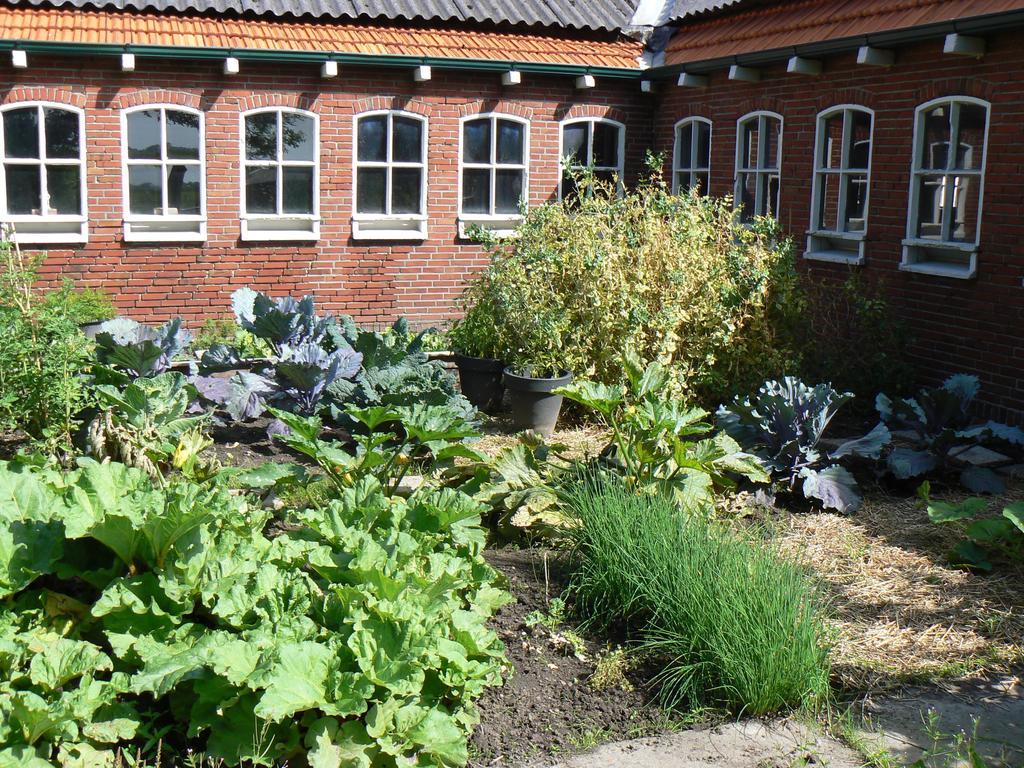 Groningen Buiten B&B Zuidhorn Zewnętrze zdjęcie